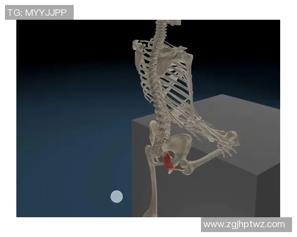 探索如何成功进入真人肌肉的世界与训练技巧分享