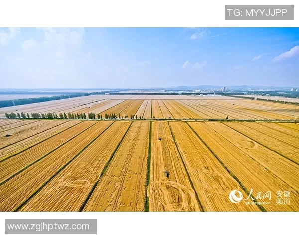 支招南基一求购毕津浩助力河南队解决进攻与防守双重困境